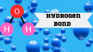 Hydrogen bond
