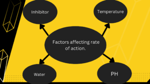 Factors affecting rate of Enzyme action